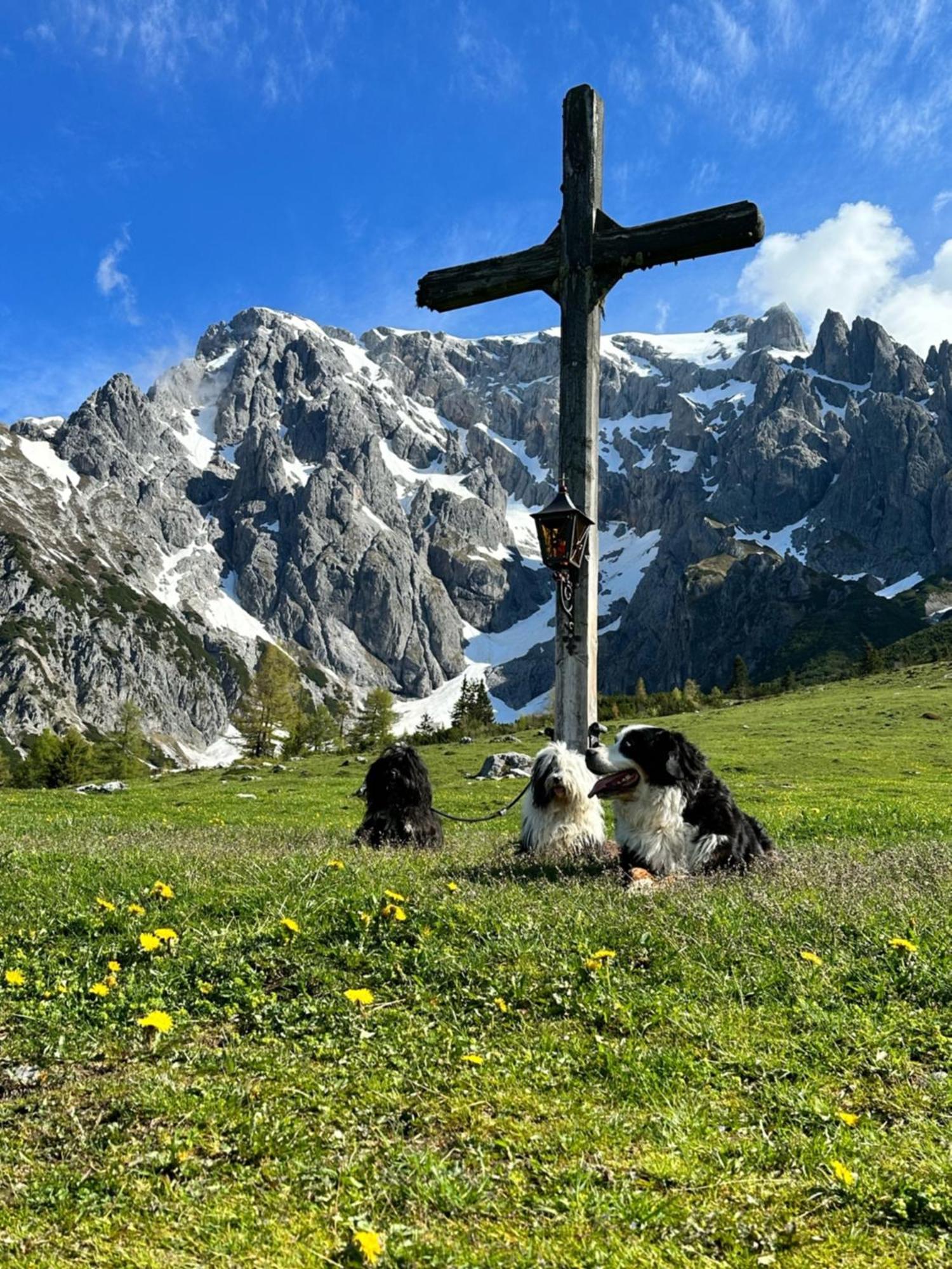Apart Ursus Hinterthal Maria Alm am Steinernen Meer Exterior photo