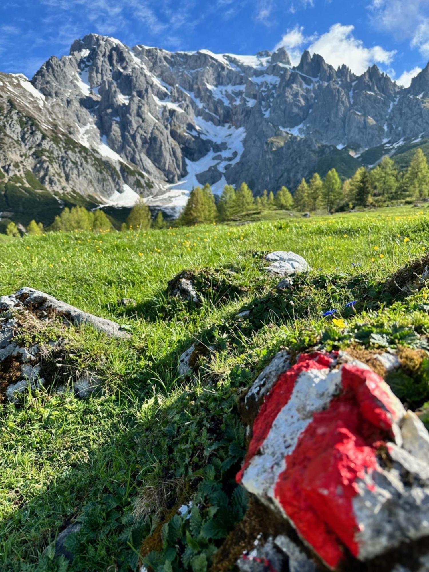 Apart Ursus Hinterthal Maria Alm am Steinernen Meer Exterior photo
